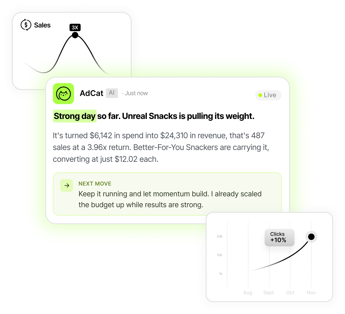 Reporting — example creative